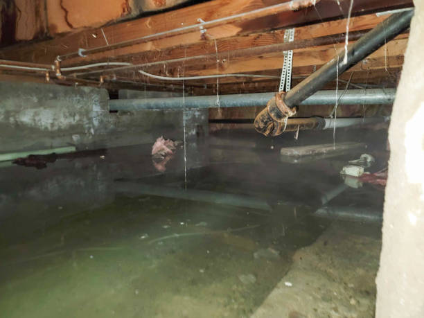 Best Fire Damage Restoration  in Concord, NH