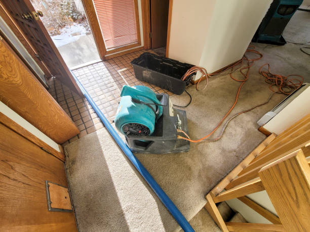 Best Flooded house restoration  in Concord, NH