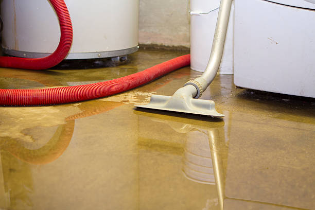 Best Flood restoration services  in Concord, NH