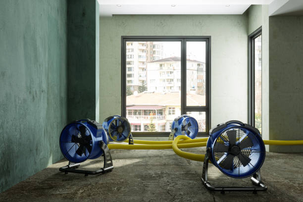 Best Professional water damage repair  in Concord, NH